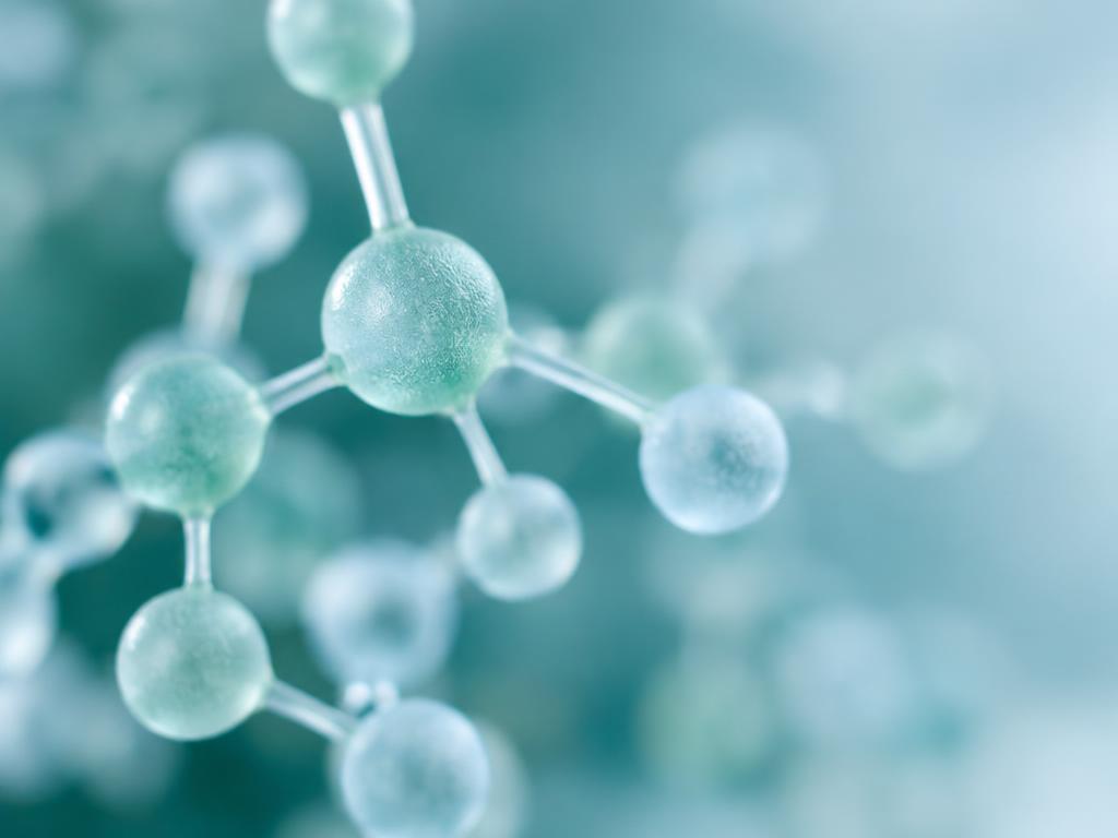 Molecular model
